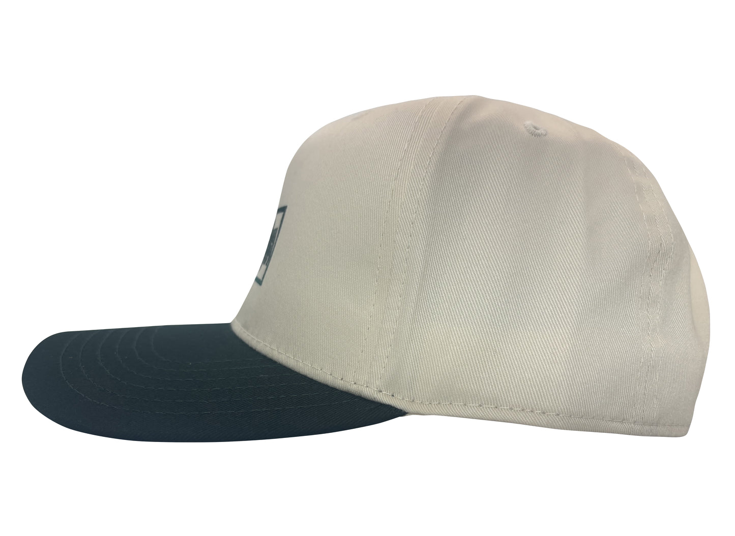 WISCONSIN LOGO HAT TAN & GREEN
