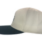 WISCONSIN LOGO HAT TAN & GREEN